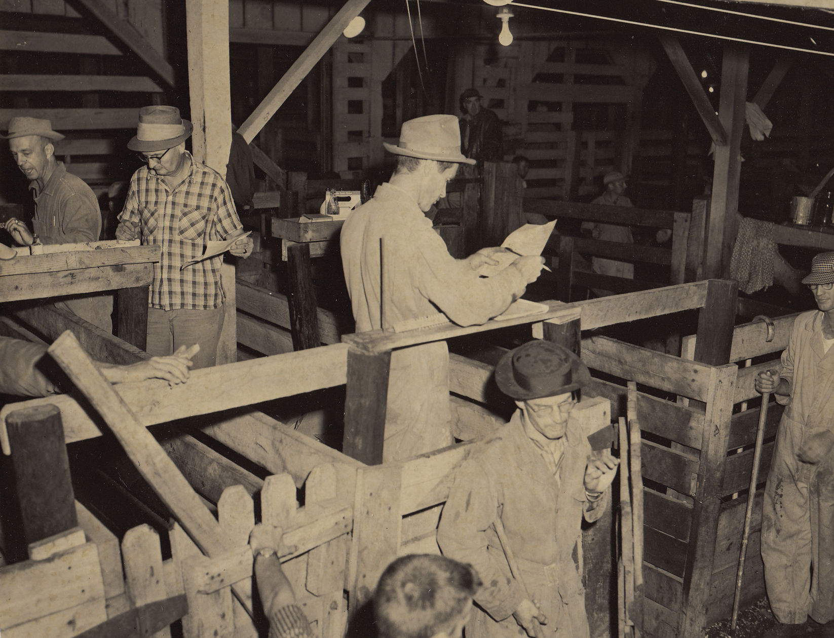 1959-10-01 livestock market